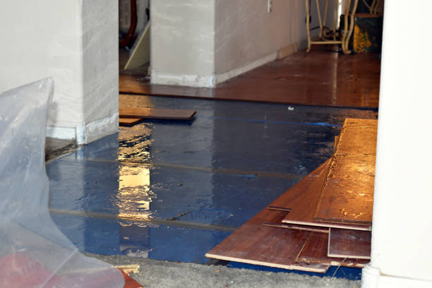 Professional Water Damage technician working in Bristol, RI